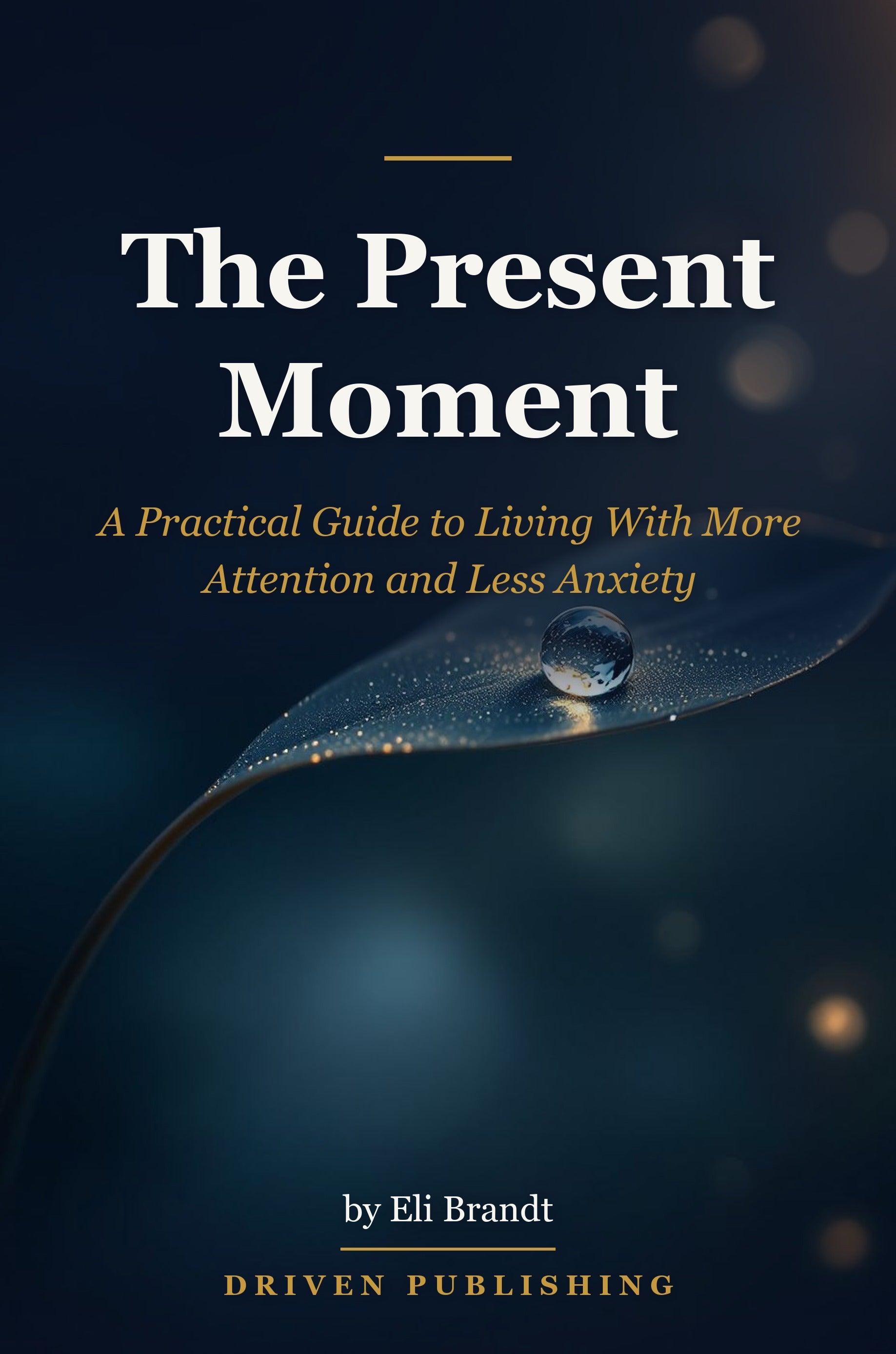 The Present Moment - book cover